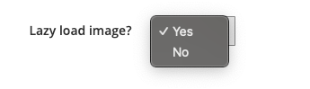 Magento page speed tips: use lazyload for images